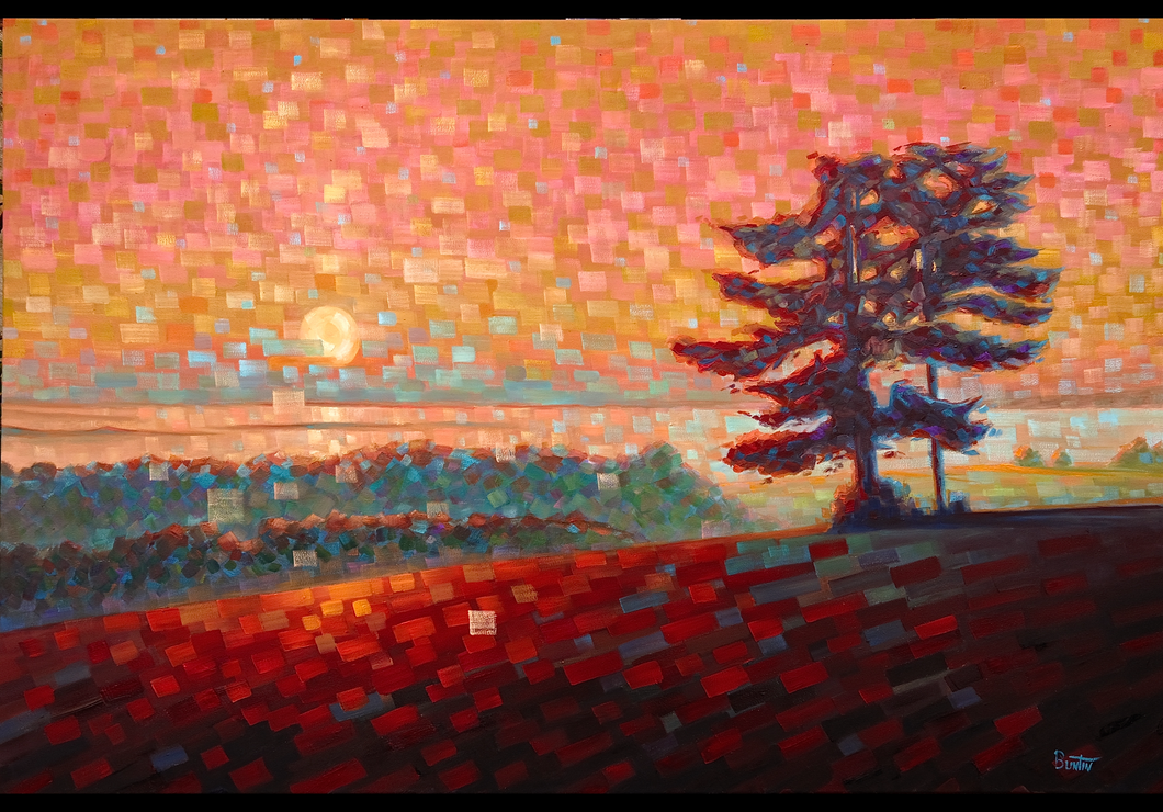 Sunrise with French Pines 120x81cm